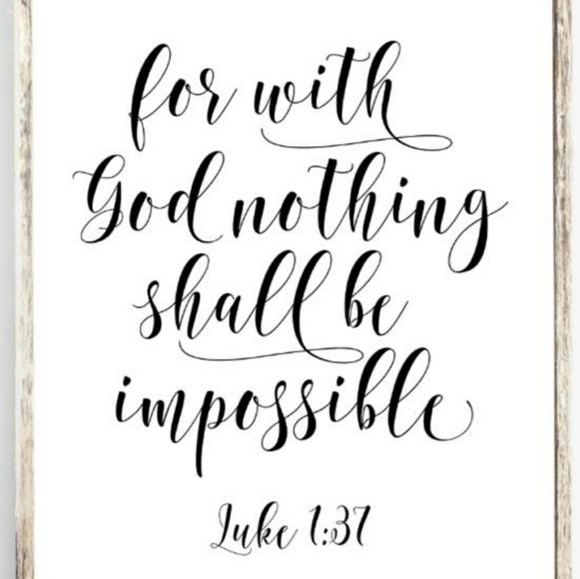 MEET THE POSHER - Picture 2 of 2